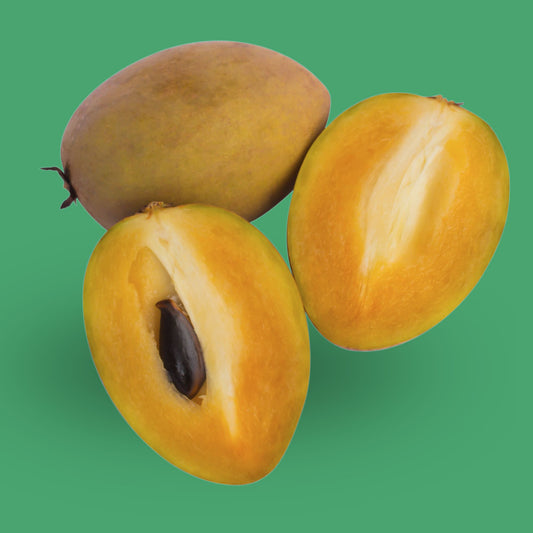 Fresh Sapodilla