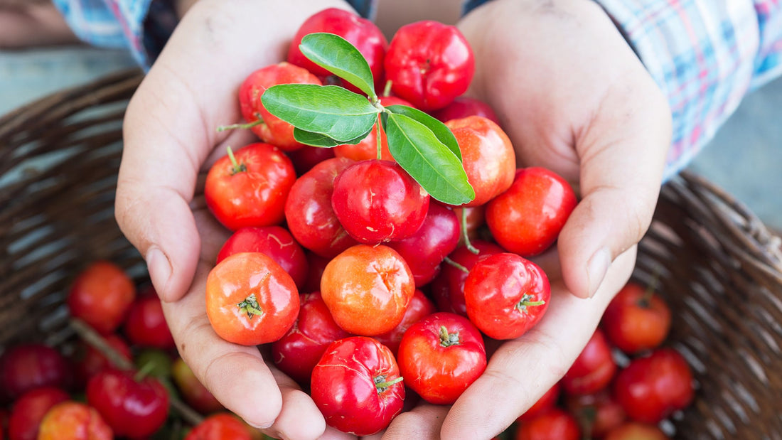 Barbados Cherry: Packed with Nutritional Benefits