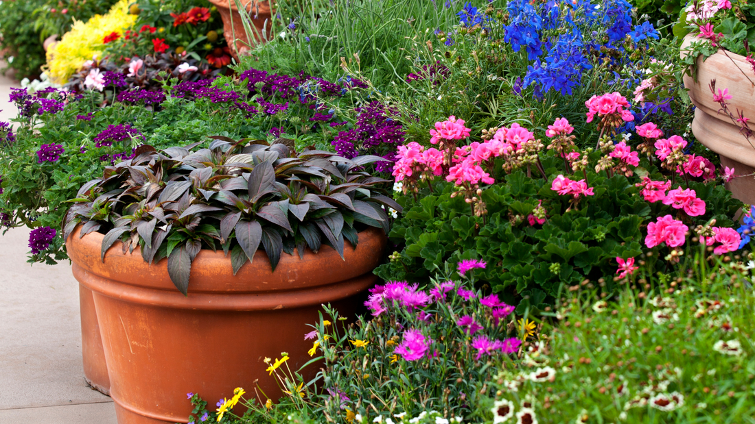 Garden pottery