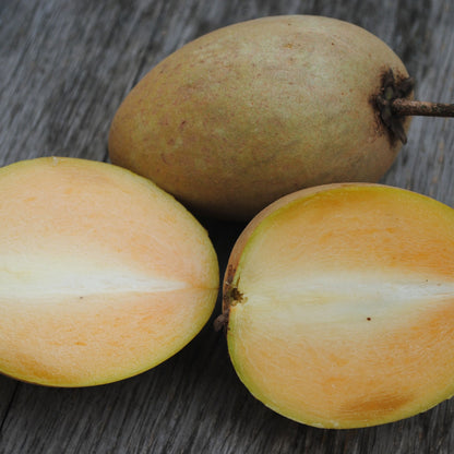 Fresh organic Sapodilla