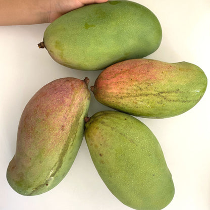 Large mangoes