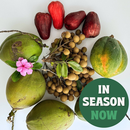 Longan, water apple, coconut fruits, from south florida Miami in season now