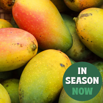 Mangoes in season