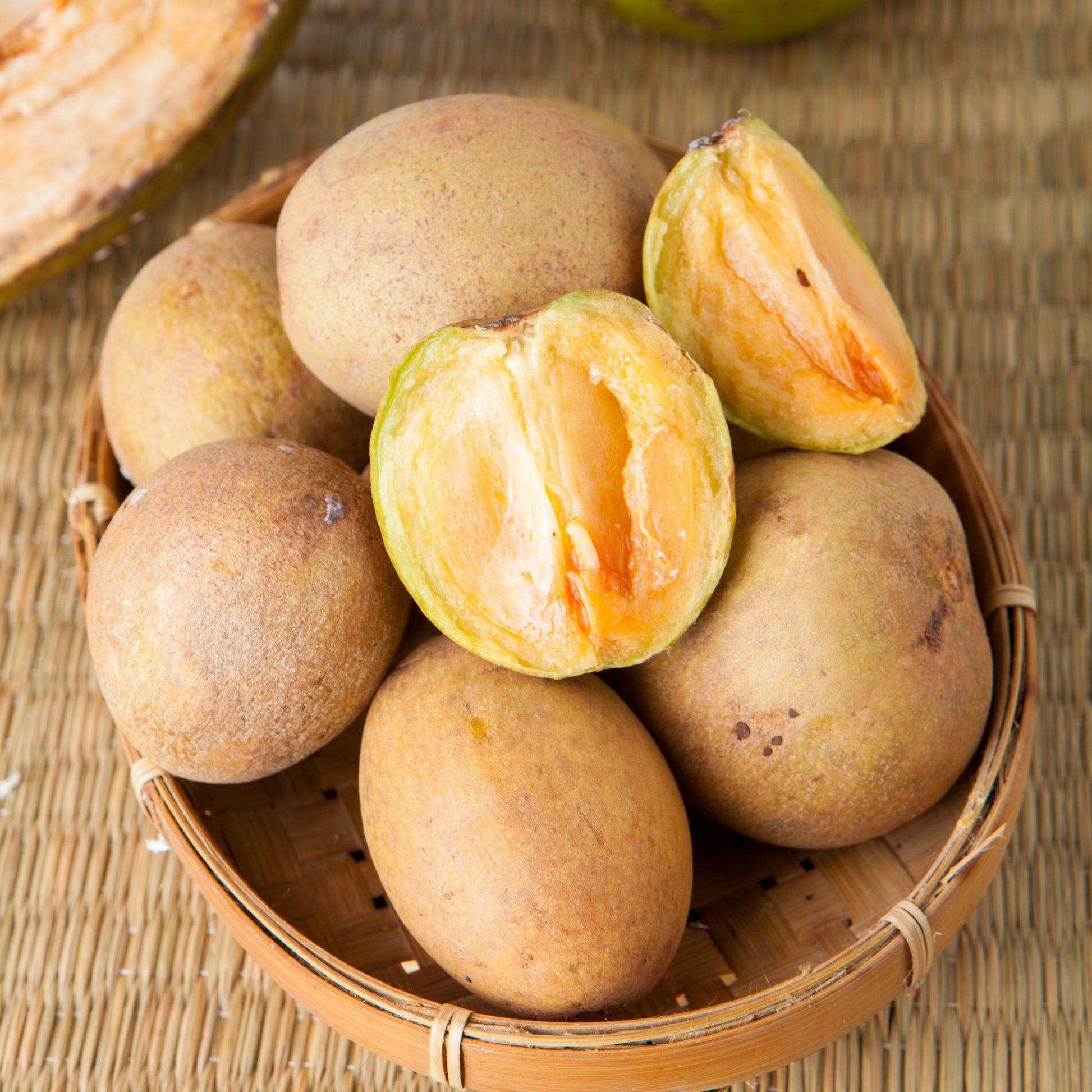 Sapodilla