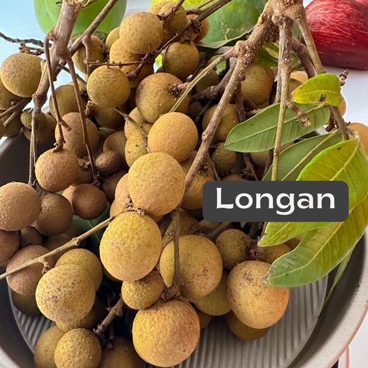 longan fruit