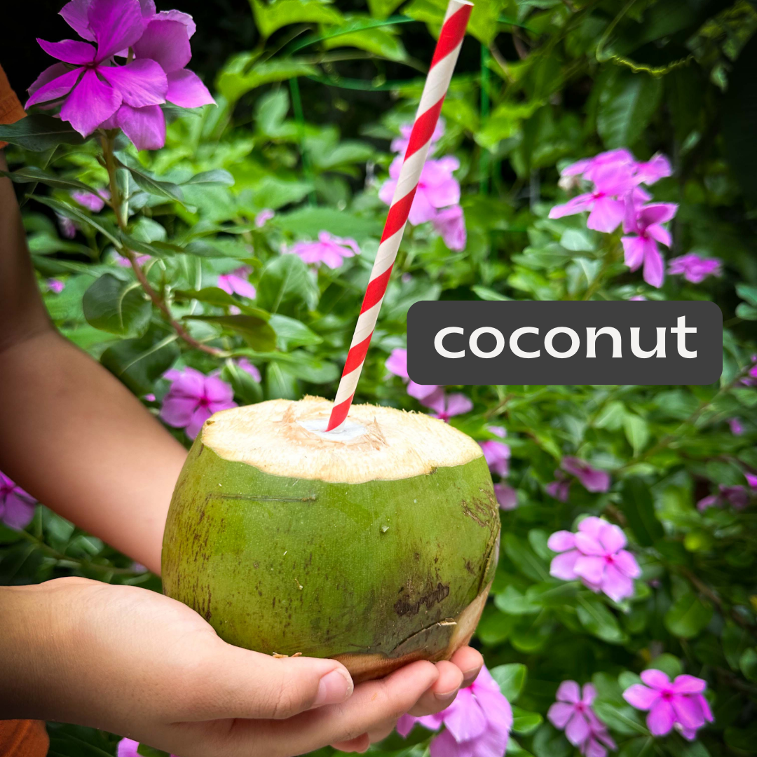 coconut