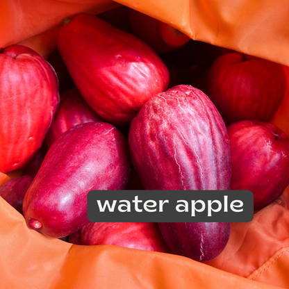 water apple